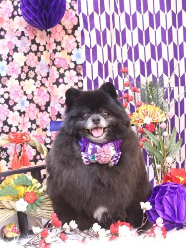 20250113れおくん